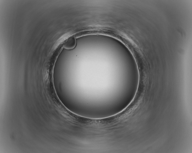 X0000112791259200908281459