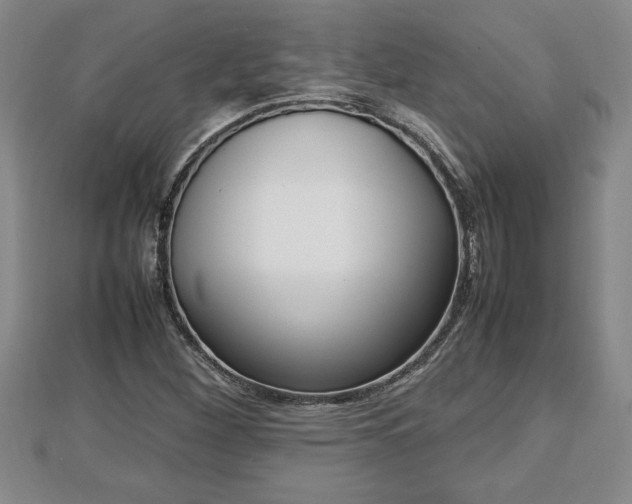 X0000112791260200908281459