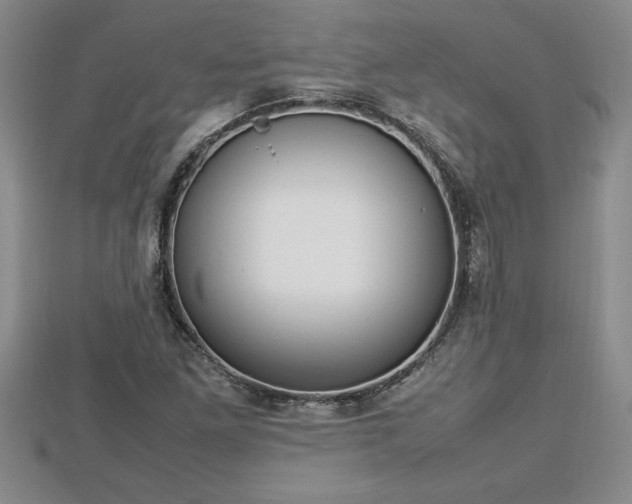 X0000112791261200908281459