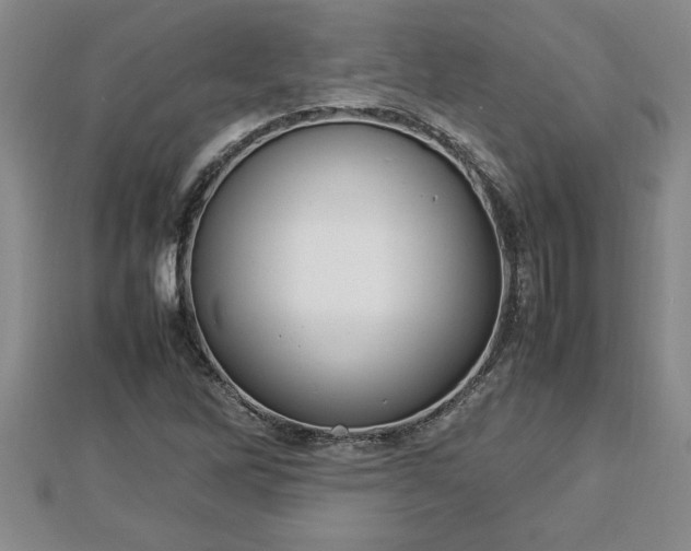 X0000112791262200908281459