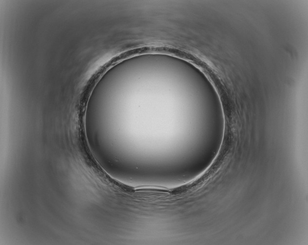 X0000112791263200908281459