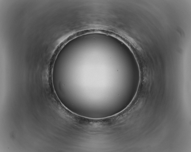 X0000112791264200908281459