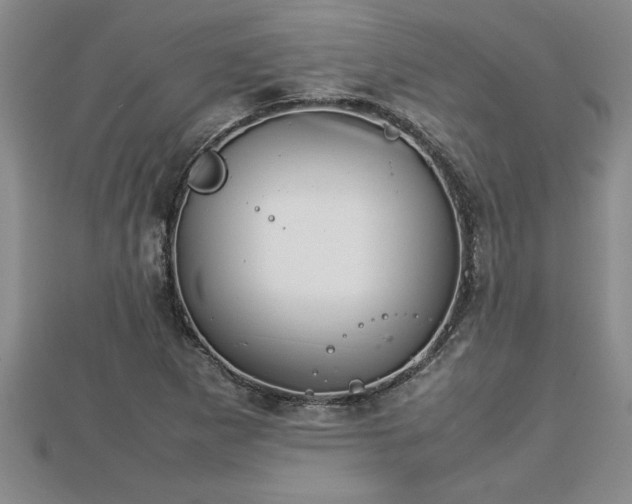 X0000112791265200908281459