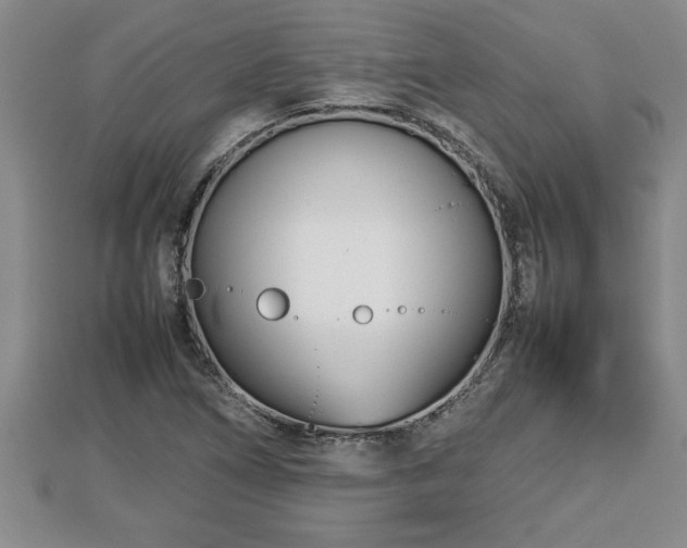 X0000112791266200908281459