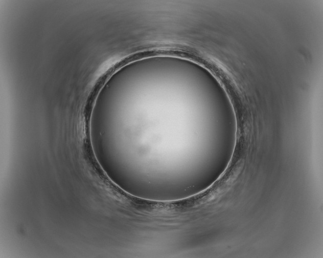 X0000112791267200908281459