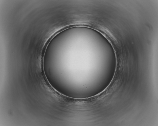 X0000112791268200908281459