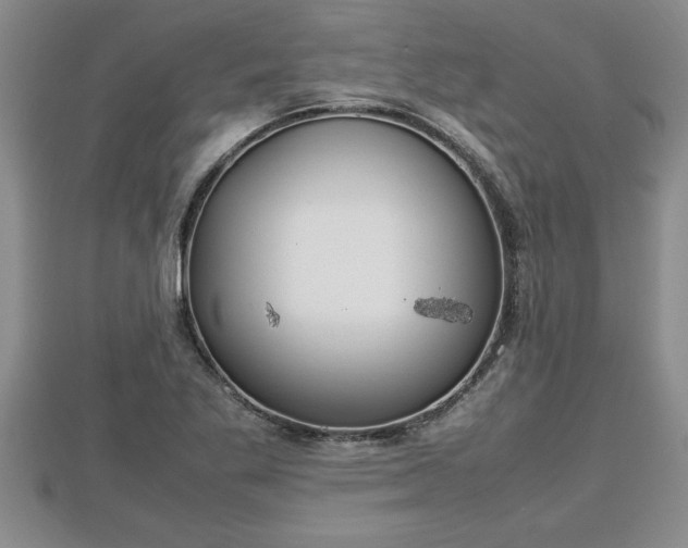 X0000112791269200908281459