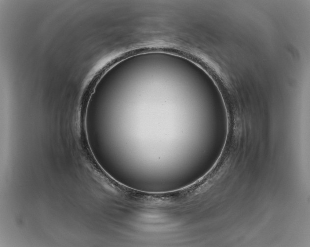 X0000112791270200908281459