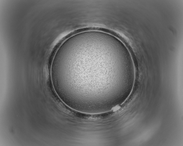 X0000112791271200908281459