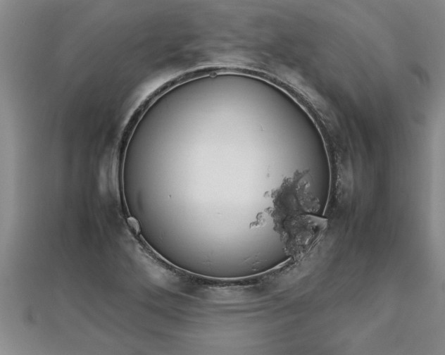 X0000112791272200908281459