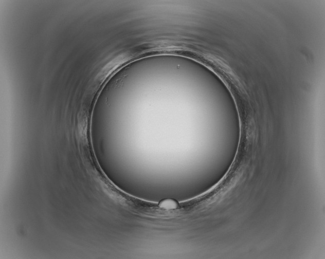 X0000112791273200908281459