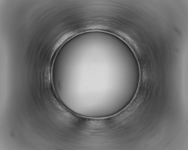 X0000112791274200908281459