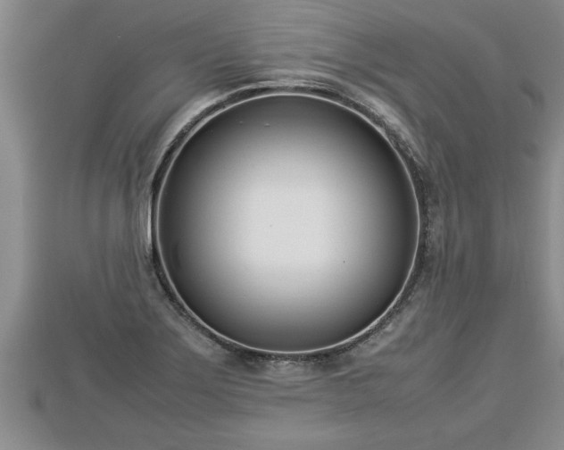 X0000112791275200908281459