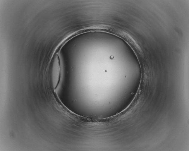 X0000112791276200908281459