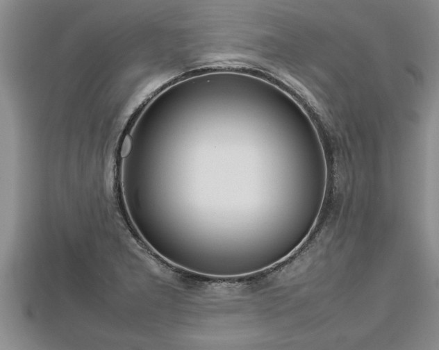 X0000112791277200908281459