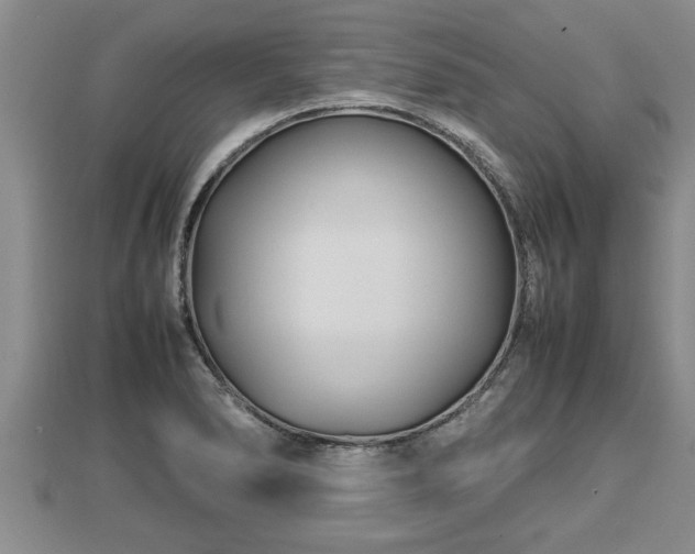 X0000112791278200908281459