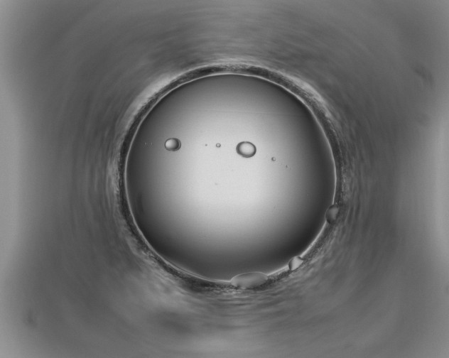 X0000112791279200908281459