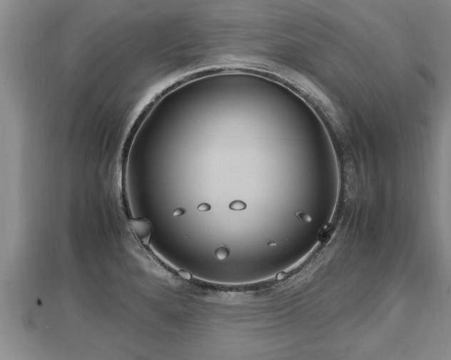 X0000112791280200908281459