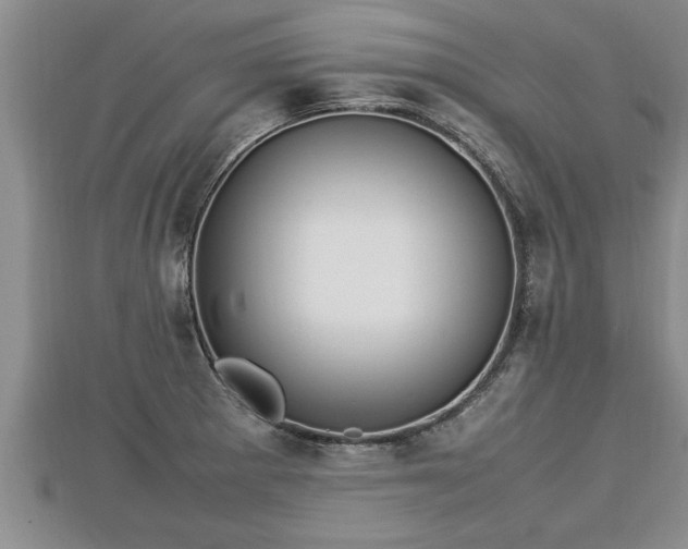 X0000112791281200908281459