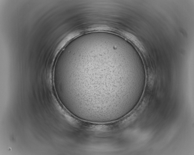 X0000112791282200908281459