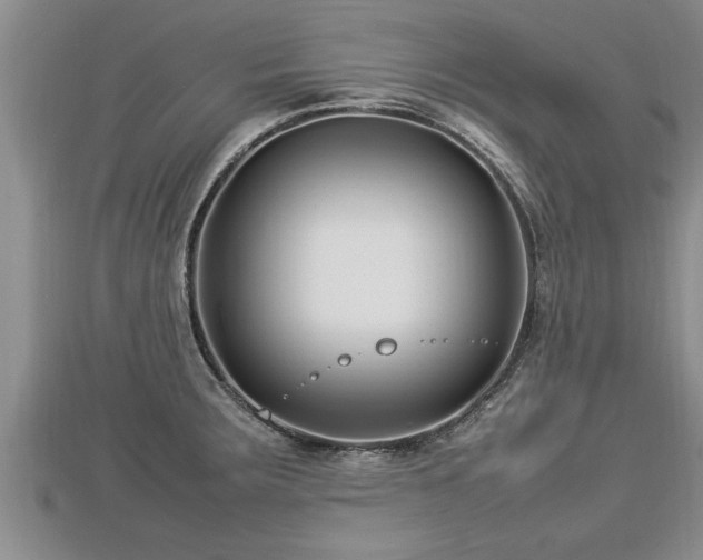 X0000112791283200908281458