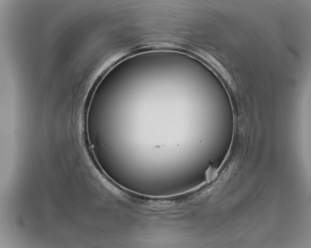 X0000112791285200908281458