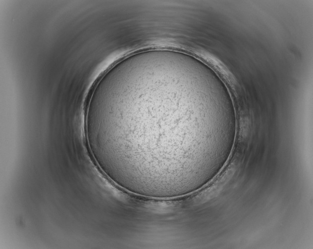 X0000112791286200908281458