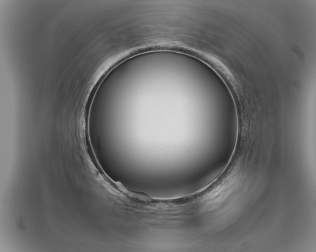 X0000112791287200908281458