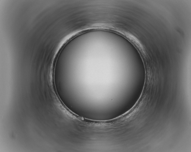 X0000112791288200908281458