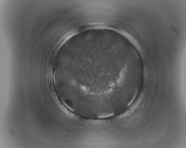 X0000112791289200908281458