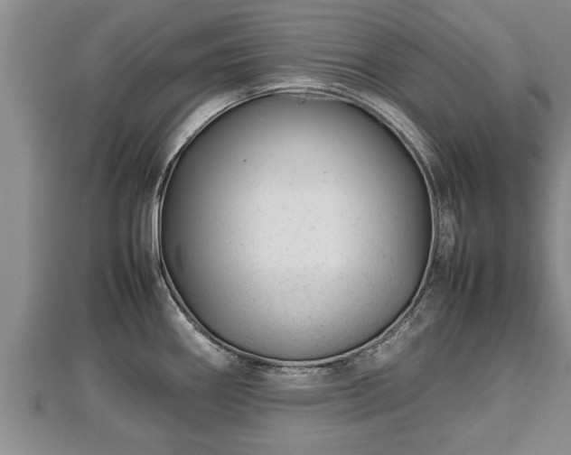 X0000112791290200908281458