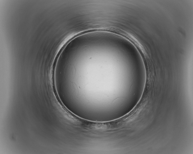 X0000112791291200908281458