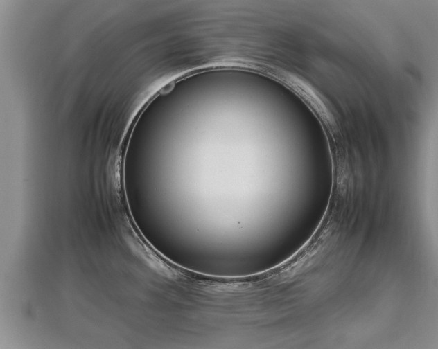 X0000112791292200908281458