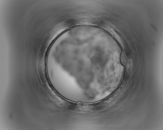 X0000112791293200908281458