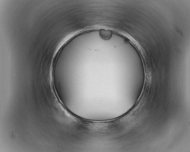 X0000112791294200908281458