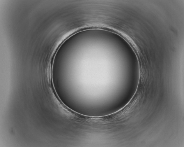 X0000112791295200908281458