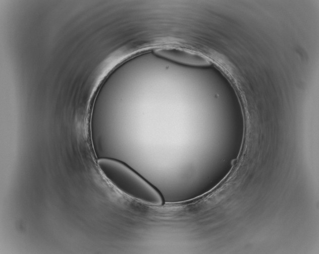 X0000112791296200908281458