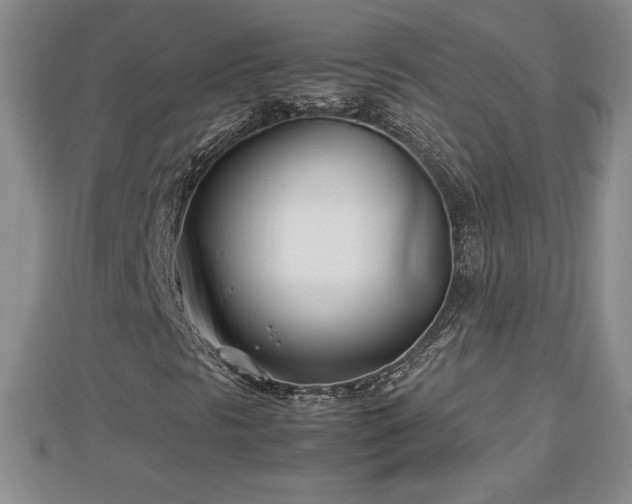 X0000112791297200908281458