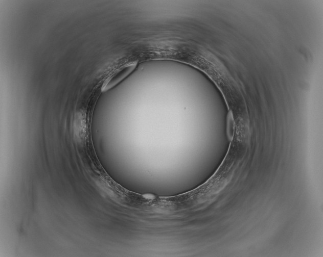 X0000112791298200908281458