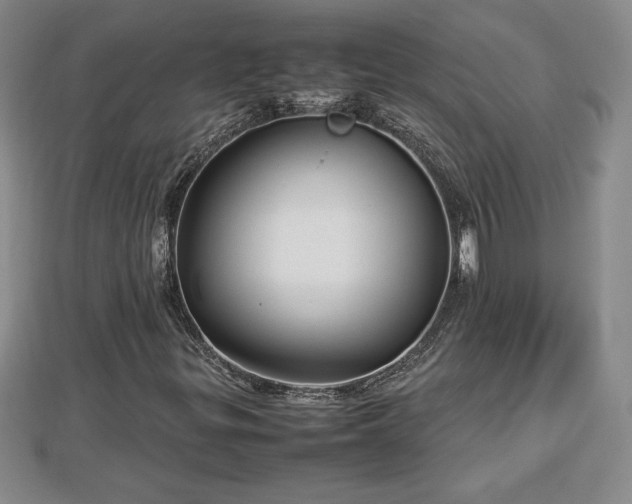 X0000112791299200908281458