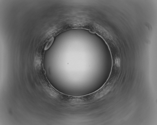 X0000112791300200908281458