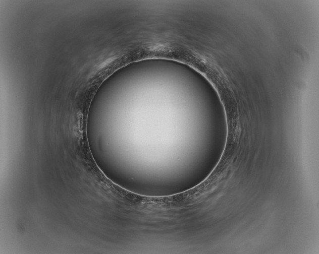 X0000112791301200908281458