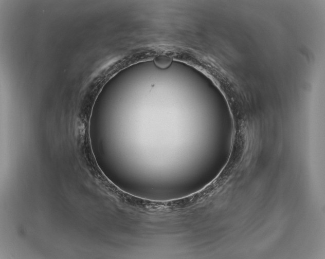 X0000112791302200908281458