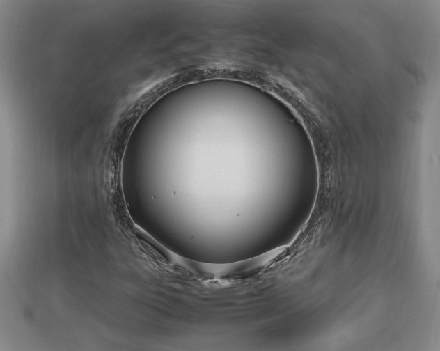 X0000112791303200908281458