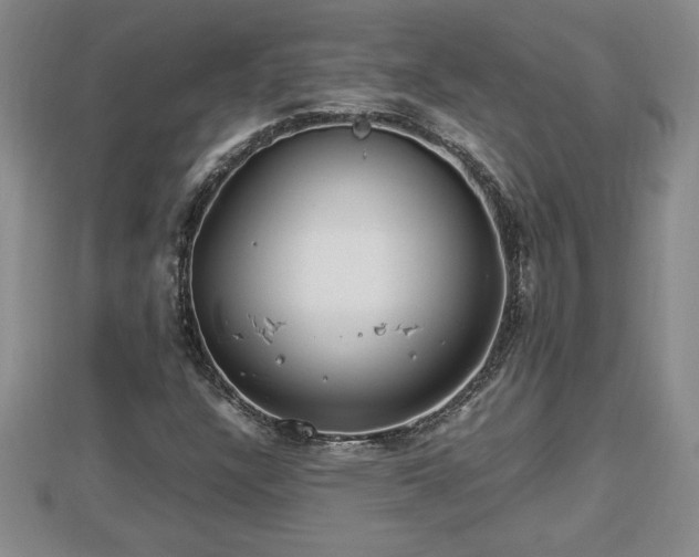 X0000112791304200908281458