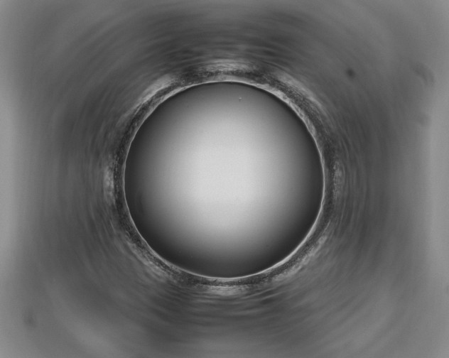 X0000112791305200908281458