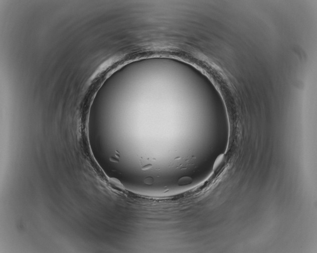 X0000112791306200908281458