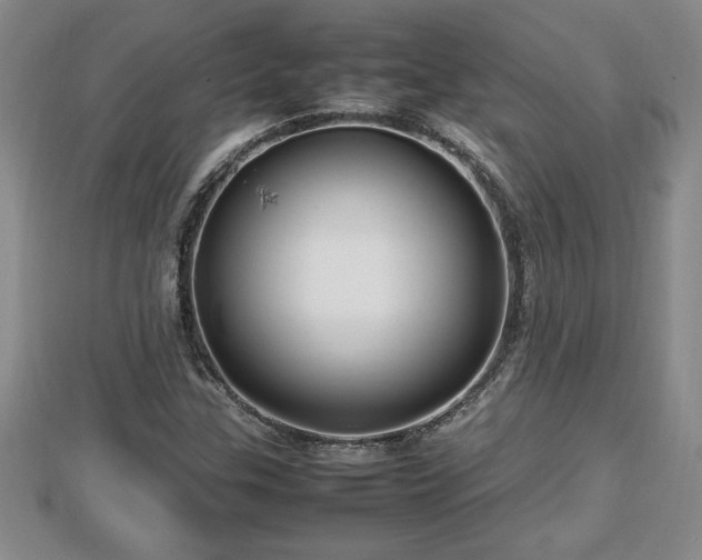 X0000112791307200908281458