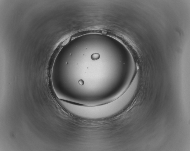 X0000112791308200908281458