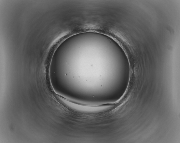 X0000112791309200908281458